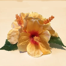 Load image into Gallery viewer, Orange Sunset Hibiscuses
