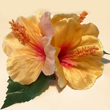 Load image into Gallery viewer, Orange Sunset Hibiscuses
