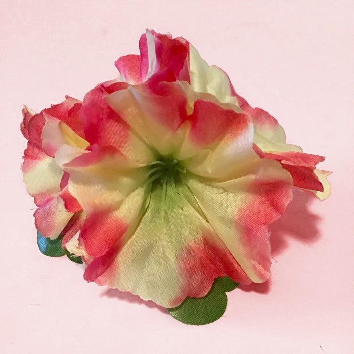 Tropical Petunias