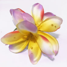 Load image into Gallery viewer, Tropical Plumerias
