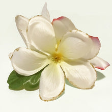 Load image into Gallery viewer, Gold Rimmed Plumerias
