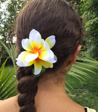 Load image into Gallery viewer, Yellow Plumerias
